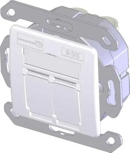 Inserție Brand-Rex Cat6, ecranată, 2 porturi, pentru priză EU - 1
