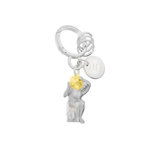 Breloc Metalmorphose, Horoscope Aquarius