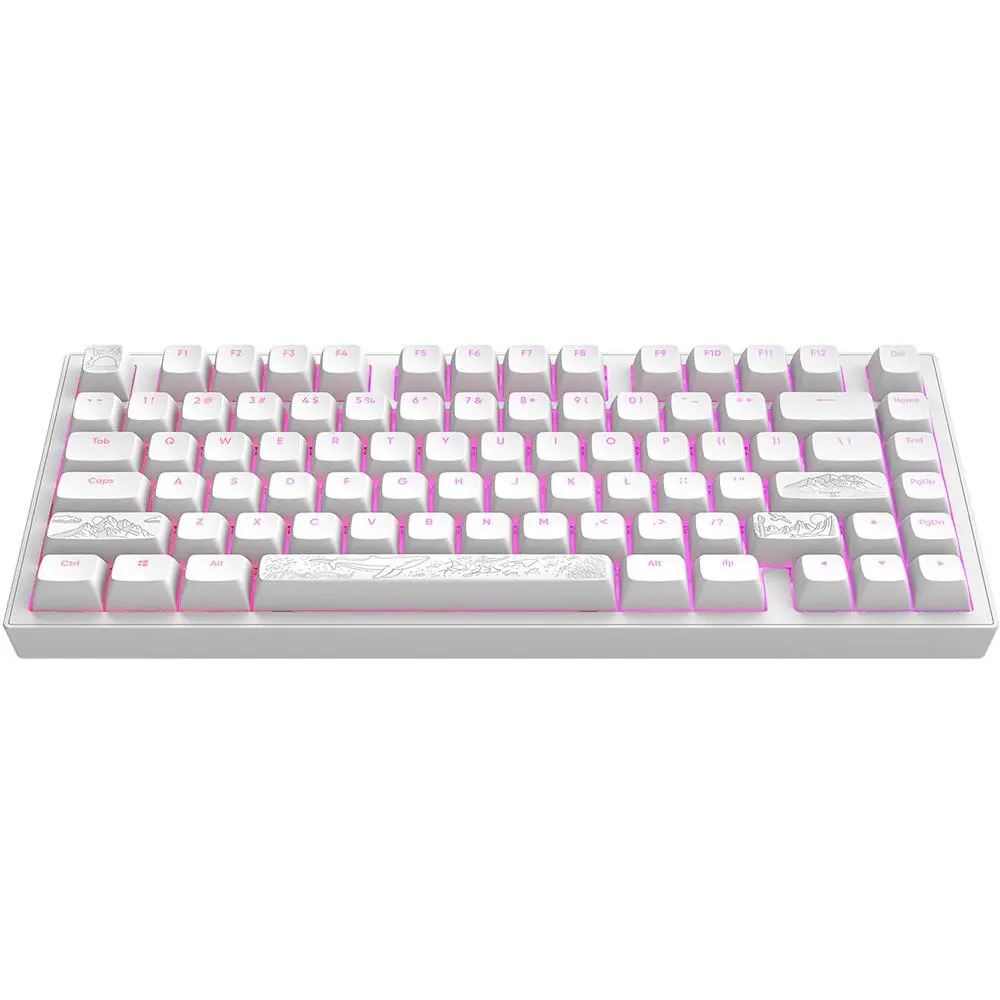 Tastatură mecanică de gaming Dark Project ALU81A Terra Nostra White RGB - image 1