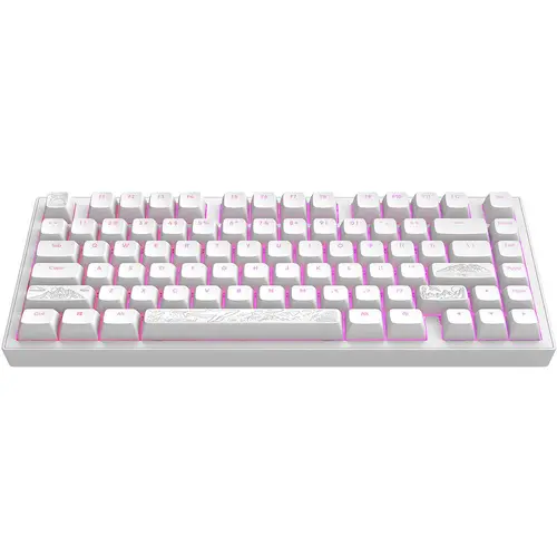 Tastatură mecanică de gaming Dark Project ALU81A Terra Nostra White RGB - 2
