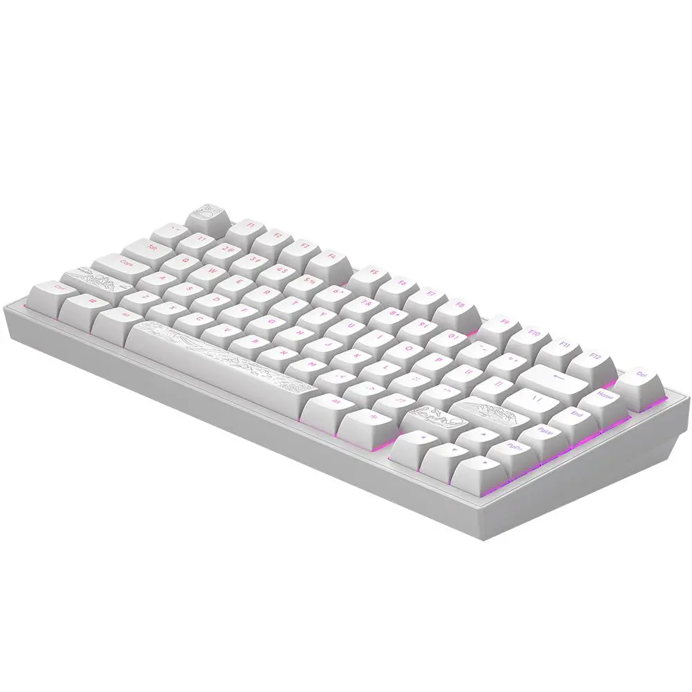 Tastatură mecanică de gaming Dark Project ALU81A Terra Nostra White RGB - image 2
