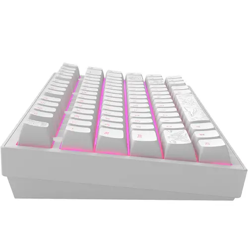 Tastatură mecanică de gaming Dark Project ALU81A Terra Nostra White RGB - 4