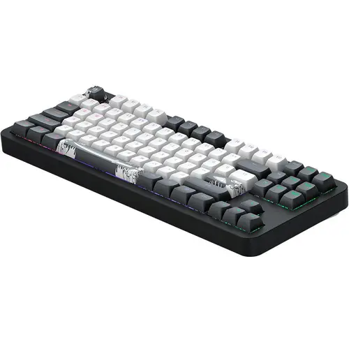 Μηχανικό gaming πληκτρολόγιο Dark Project ALU87B Bushido RGB - 3