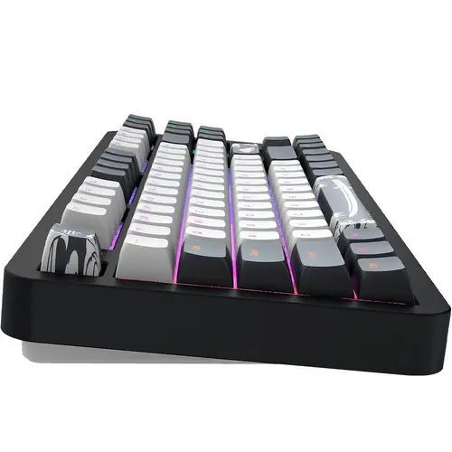 Tastatură mecanică gaming Dark Project ALU87B Bushido RGB - 4
