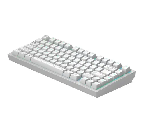 Ασύρματο gaming πληκτρολόγιο Dark Project ALU81A Terra Nova White RGB - 3
