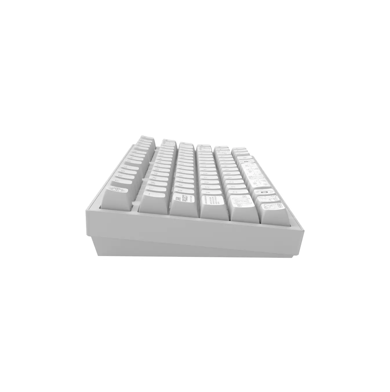 Tastatură wireless de gaming Dark Project ALU81A Terra Nova White RGB - image 3