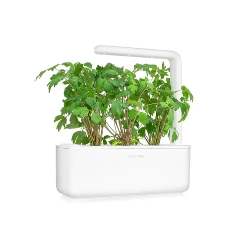 Семена Click and Grow Девесил, 3 броя - image 1