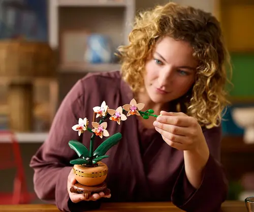 LEGO Botanicals - Mini orhidee, 10343 - 4