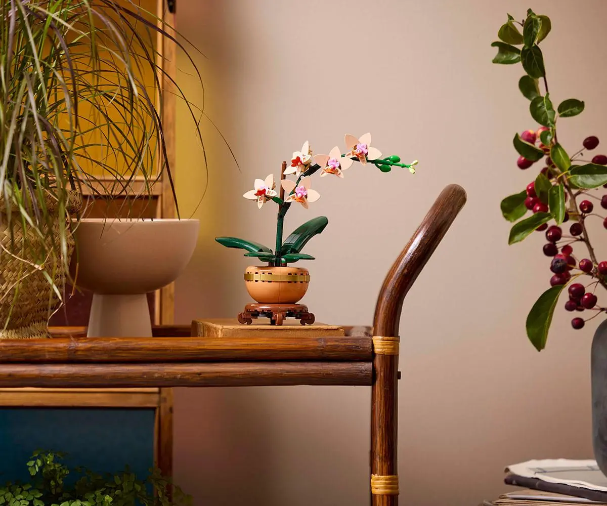 LEGO Botanicals - Mini-Orchidee, 10343 - image 4
