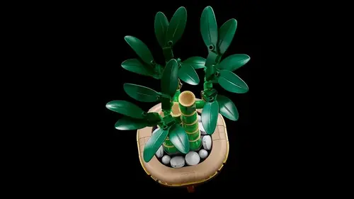 LEGO Botanicals - Lucky Bamboo, 10344 - image 11