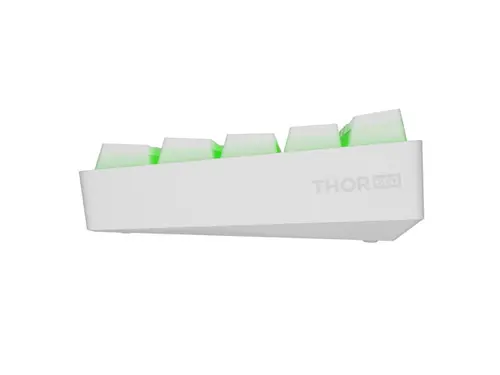 Клавиатура, Genesis Mechanical Gaming Keyboard Thor 660 G2 Wireless RGB Backlight WHITE GATERON BROWN - image 4