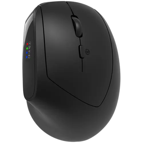 CANYON mouse MW-25 Ergonomic LED AA Dual mode Wireless Black