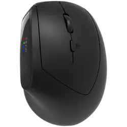 CANYON mouse MW-25 Ergonomic LED AA Dual mode Wireless Black