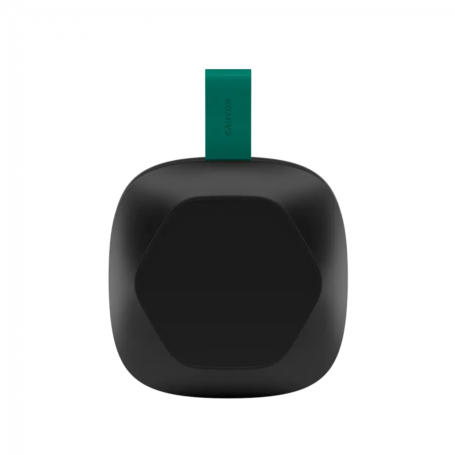 CANYON speaker HEXAGON 10 TWS 8W IPX5 Black Green - image 4