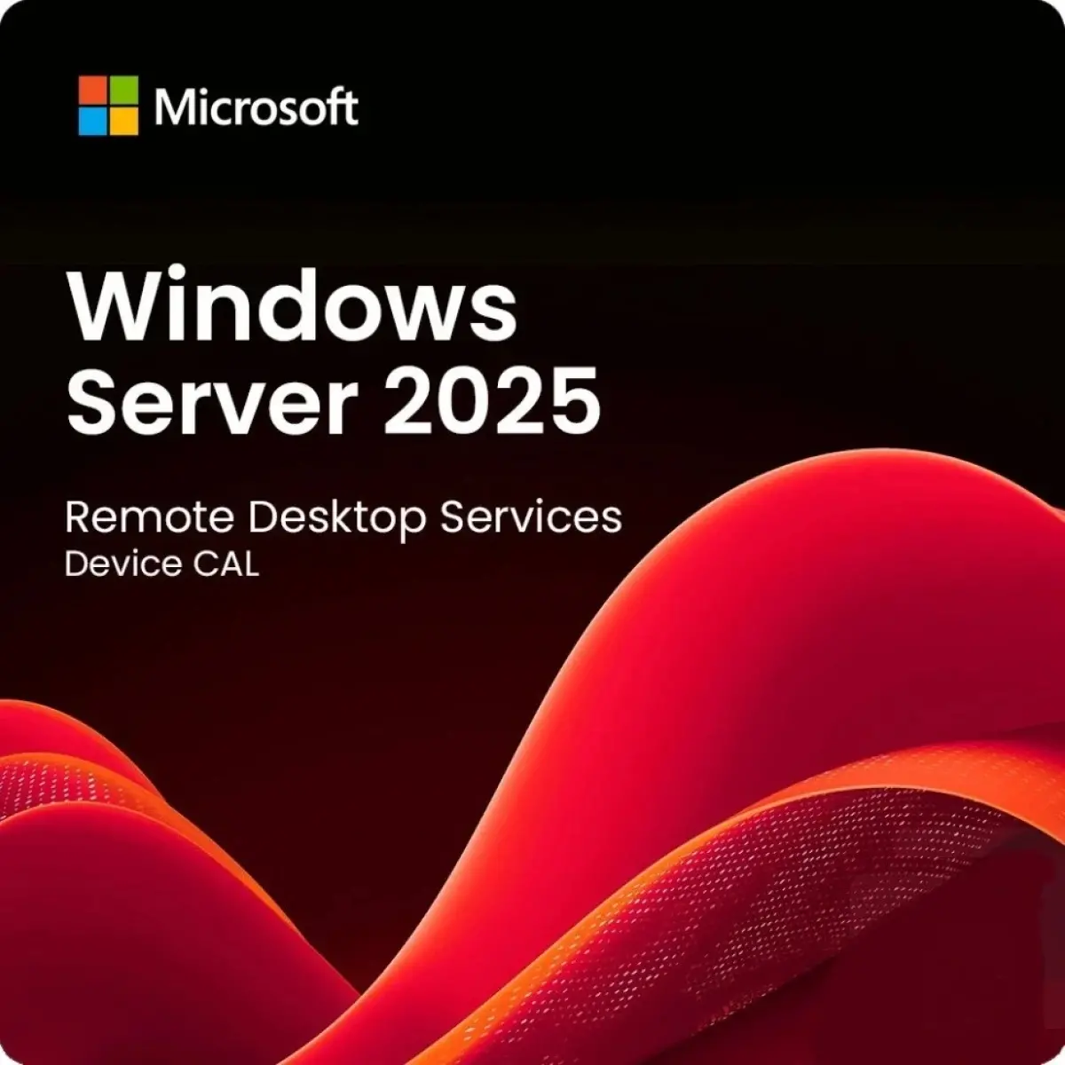 Win Rmt Dsktp Svcs CAL 2025 English ORY OEI 1 Clt User CAL