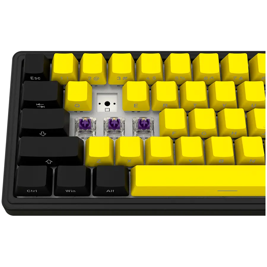 LORGAR KBP70MW, Wireless 65% Mechanical Gaming Keyboard Pro, Black/yellow, EN layout - image 7