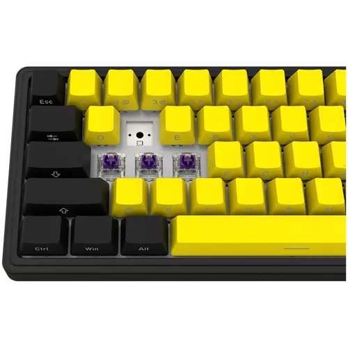 LORGAR KBP70MW, Wireless 65% Mechanical Gaming Keyboard Pro, Black/yellow, EN layout - image 7