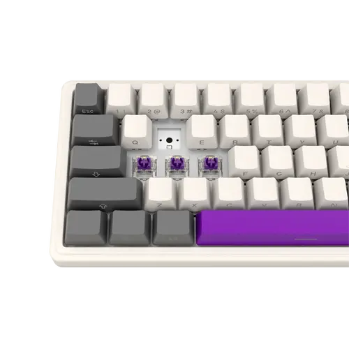 LORGAR KBP70MW, Wireless 65% Mechanical Gaming Keyboard Pro, Beige, EN layout - image 7