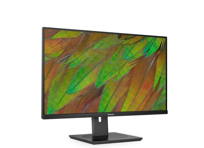 Монитор, Philips 32B1N3800, 31.5" VA WLED, 3840x2160@60Hz, 4ms GtG, 350cd m/2, 3500:1, 50M:1 DCR, Adaptive Sync, FlickerFree, LowBlue Mode, 3Wx2, Tilt, Height Adjust, Pivot, Swivel, 2xHDMI, DP, USB hub - image 1