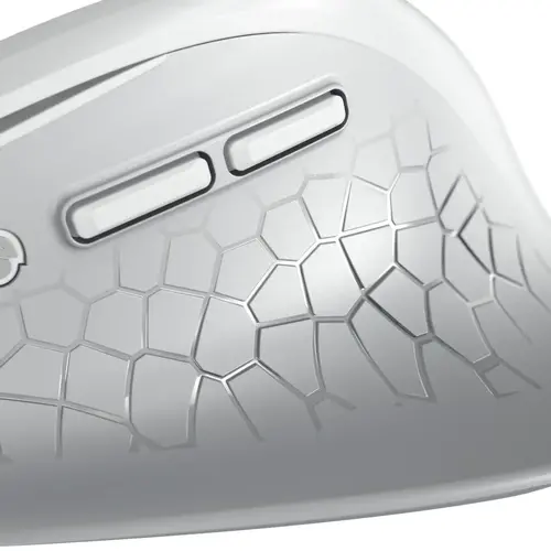 CHERRY Stream εργονομικό αθόρυβο ποντίκι Comfort, 6 πλήκτρα, 4000dpi, λευκό - 2