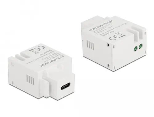 Модул Delock, USB-C порт за зареждане, За монтаж на панел Keystone - image 1