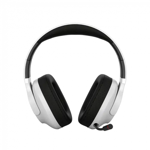 CANYON headset EGO GH-16 3in1 2.4Ghz+BT White