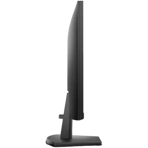 Dell 24 Monitor - SE2425HM 23.8" FHD 1920x1080 100Hz, 72% NTSC (CIE 1931), 93 PPI, 16:9, IPS, AG, 250 cd/m2, 1000:1, 178/178, 5ms/8ms, HDMI, VGA, Tilt - image 2