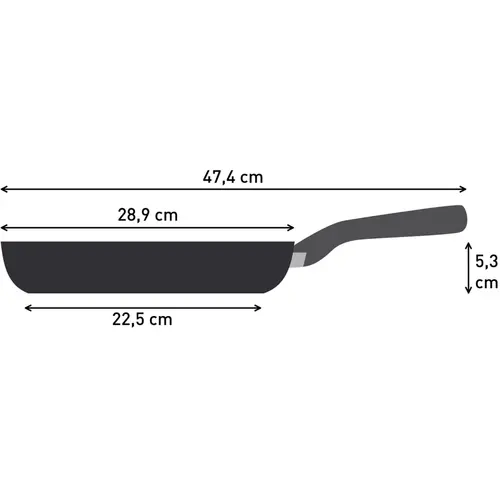 Τηγάνι, Tefal C3110653 FP28 B BRICE ILC FORCE RECYCLED - 2