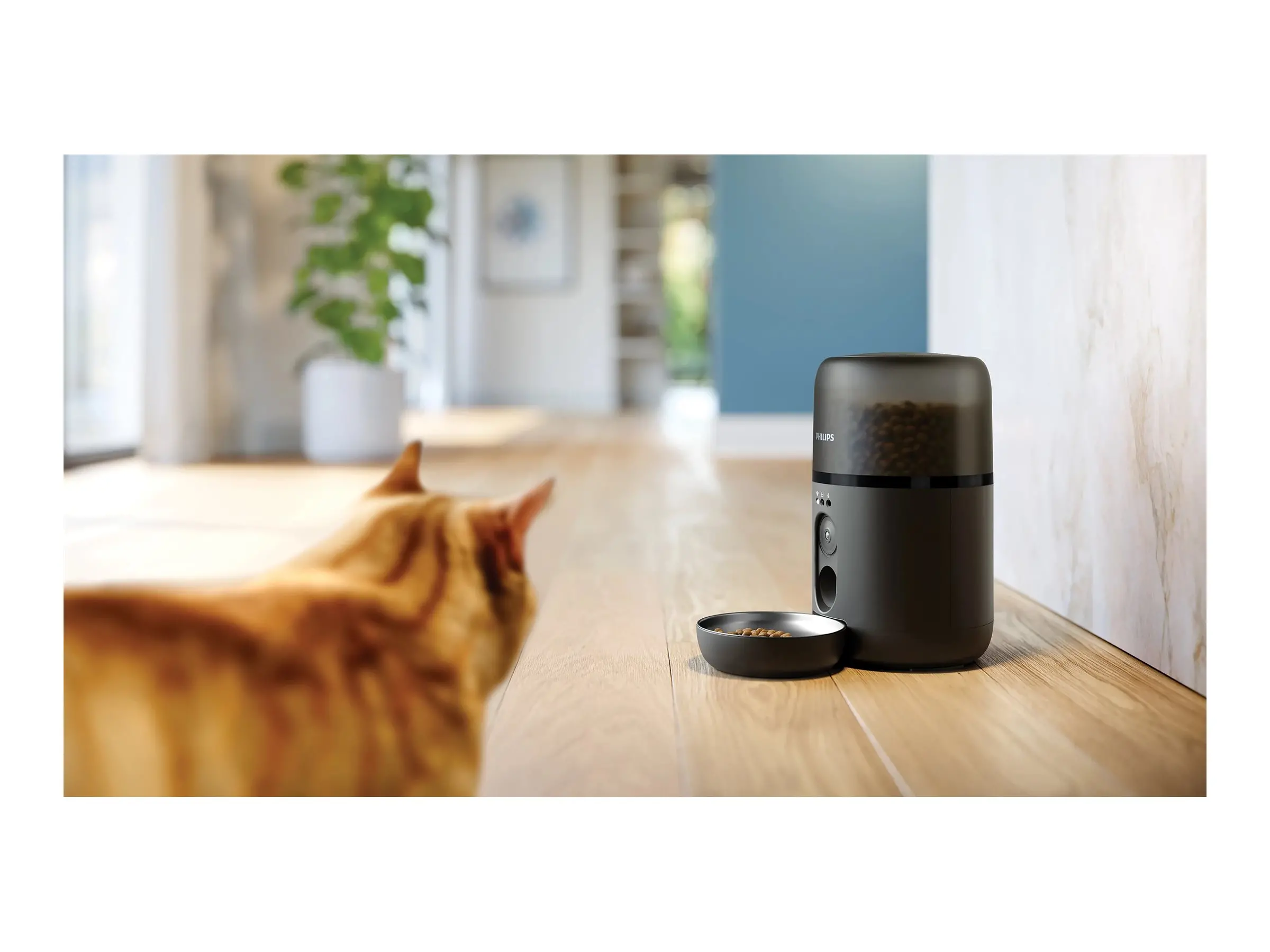 PHILIPS Интелигентна хранилка за домашни любимци с камера - image 4