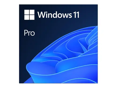 Електронен лиценз за ползване на програмен продукт, Microsoft Win Pro 11 64-bit All Lng PK Lic Online DwnLd NR