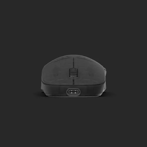 Endgame Gear професионална геймърска мишка XM2w 4K - Wireless Gaming Mouse - Dark Frost - image 2