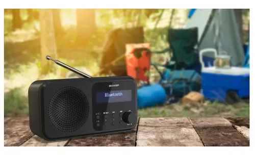 Радио, Sharp Radios DR-P420(BK), PORTABLE DIGITAL RADIO, Bluetooth 5.0, 20 DAB+/DAB/FM, Auto time/date, LCD Display, Dual alarm,Micro USB x1 (power supply),3.5mm Headphone jack / line-out, Black - image 10