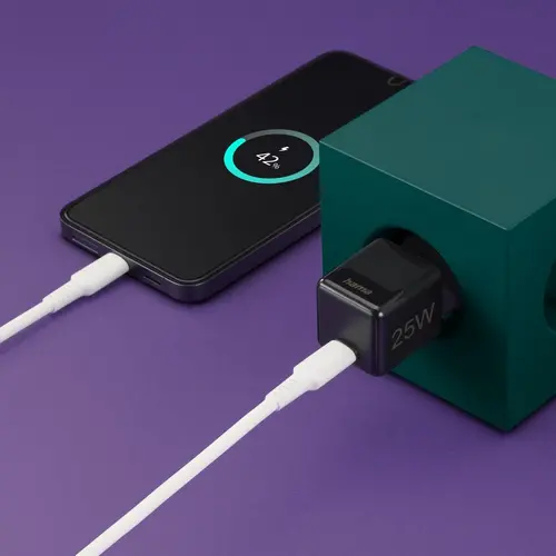 HAMA Бързо мини зарядно 220V, USB-C, PD/Qualcomm, 25 W, черен - image 5
