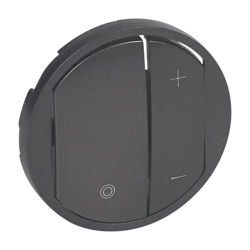 Placă pentru variator universal - Grafit - 1