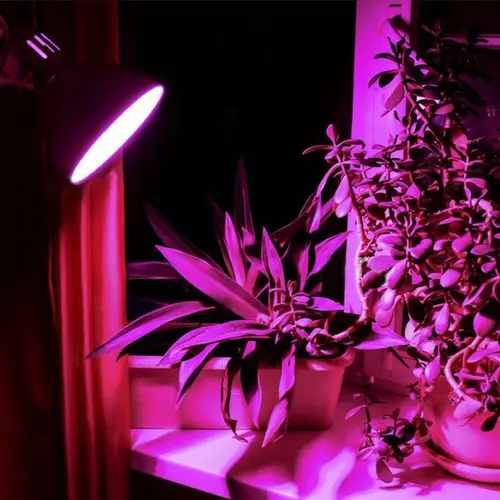 LED ЛАМПА VLE-A60FF-08271 PLANT GROW 8W E27 VIDEX - image 2