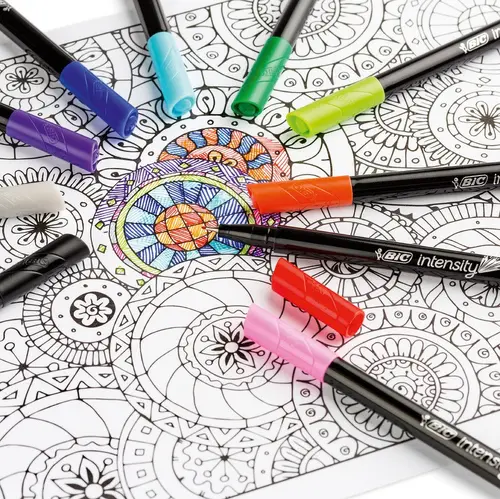 ЦВЕТНИ ТЪНКОПИСЦИ INTENSITY CLASSIC 10 BIC - image 2