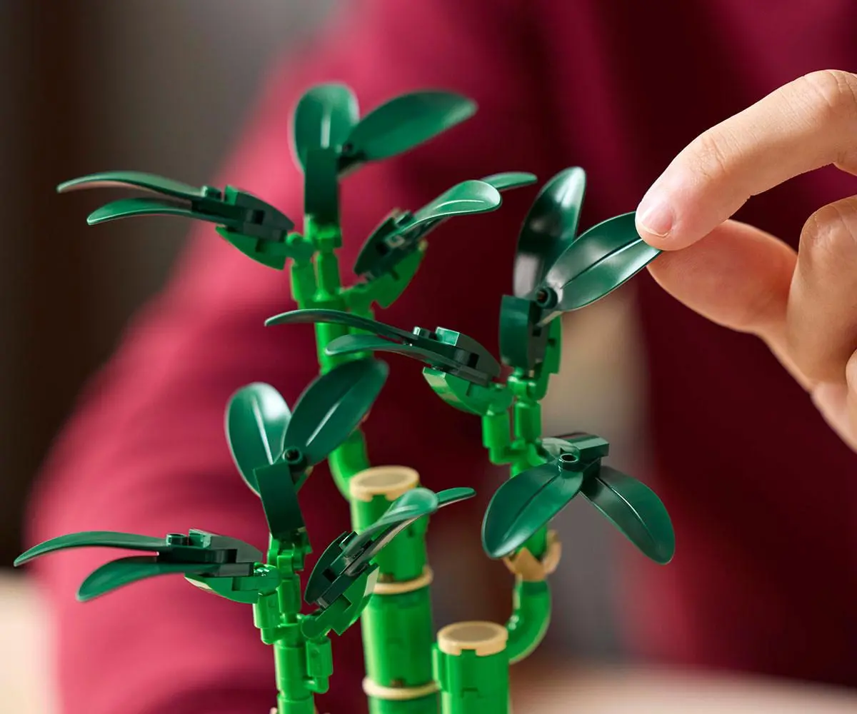 LEGO Botanicals - Lucky Bamboo, 10344 - image 5